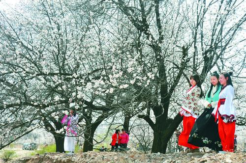 小九直播NBA免费观看